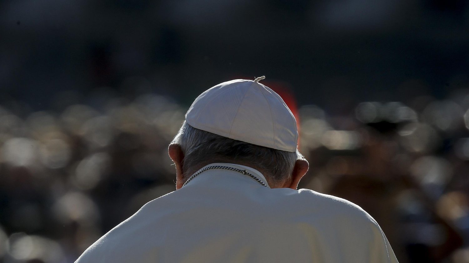 Papa: rever os critérios da vida para salvar a vida na Terra